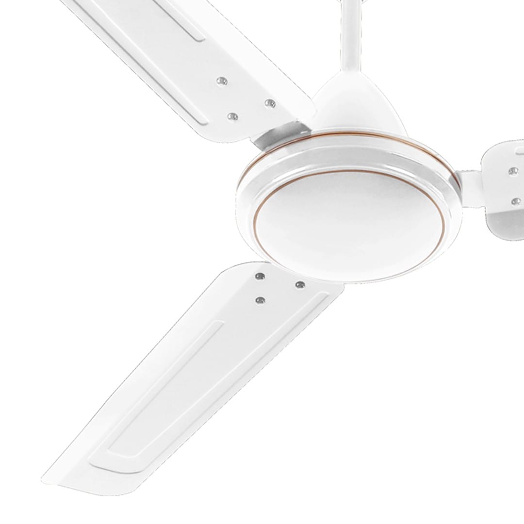 product5